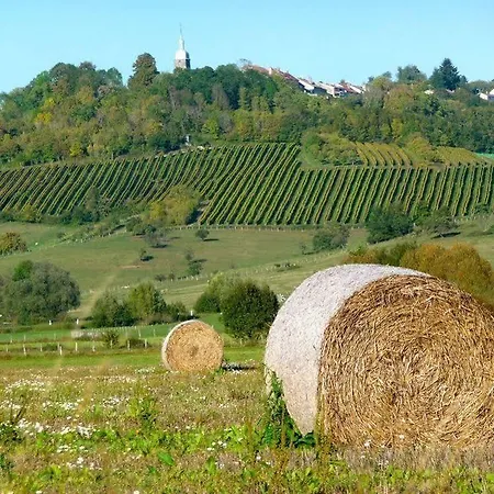 Ferme Adrien * Coiffy-le-Haut